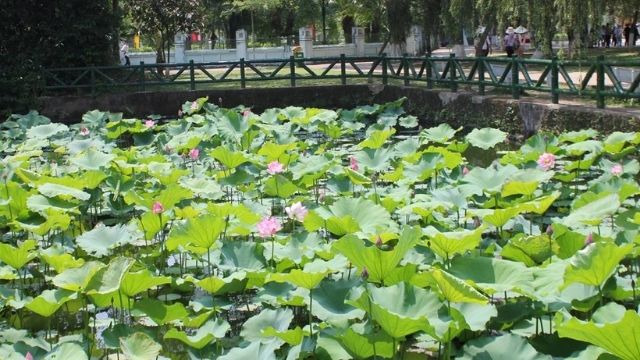 Review du lịch Cửa Lò các tháng trong năm