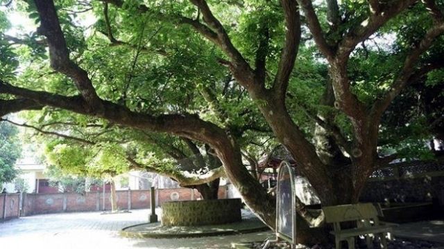 Về Cửa Lò khám phá Lan Châu- Đảo Song Ngư